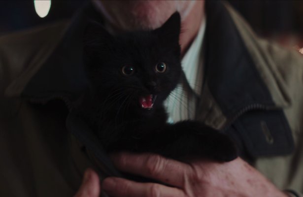 Staatsloterij wint Gouden Loeki met Frummel